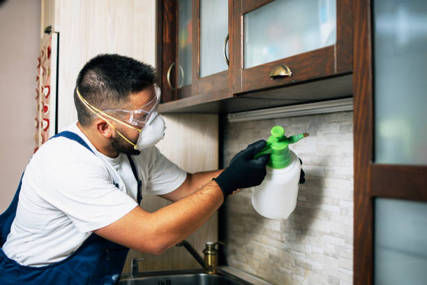 Best Mosquito Control Services  in Orangetree, FL