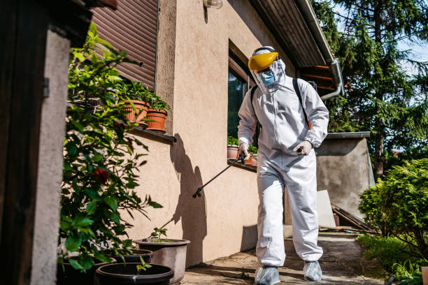 Best Affordable Pest Control Services  in Orangetree, FL