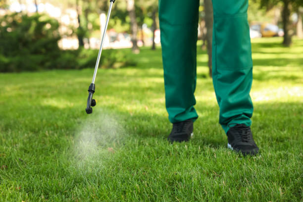 Best Pest Control Near Me in Orangetree, FL