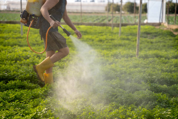Best Affordable Pest Control Services  in Orangetree, FL
