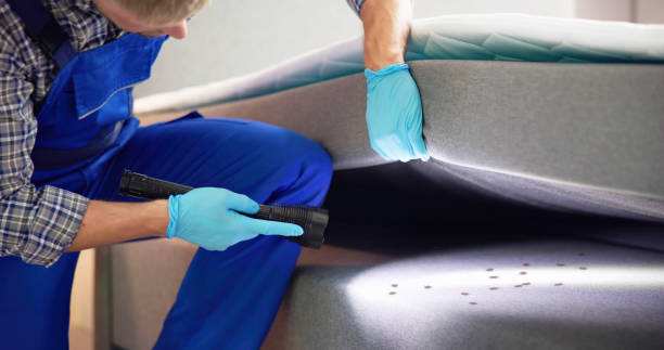 Best Flea Control Services  in Orangetree, FL