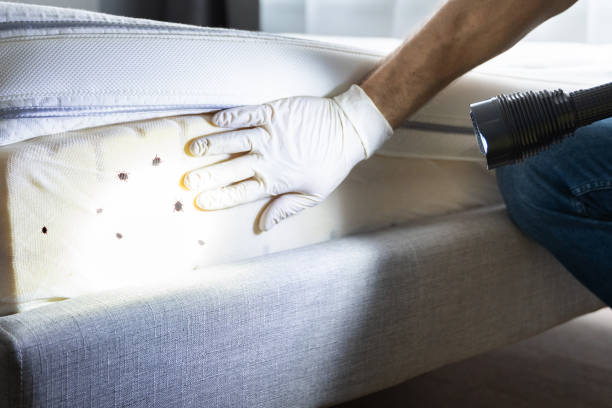 Best Pest Removal Services  in Orangetree, FL