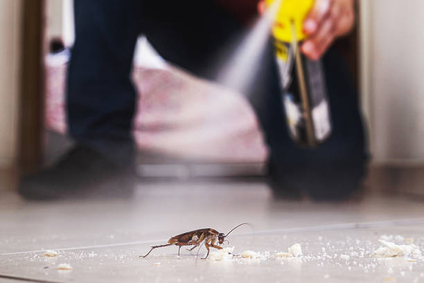 Best Best Pest Control Companies  in Orangetree, FL