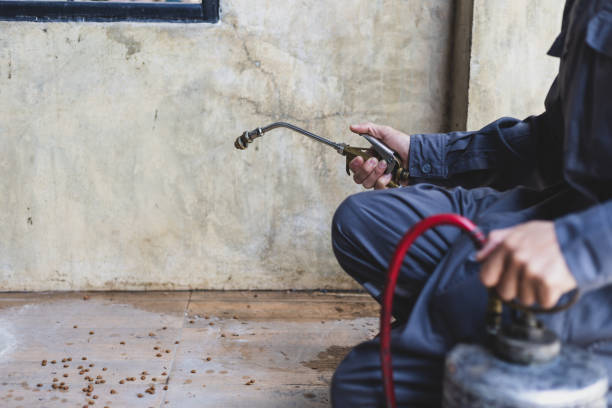 Best Pest Removal Services  in Orangetree, FL